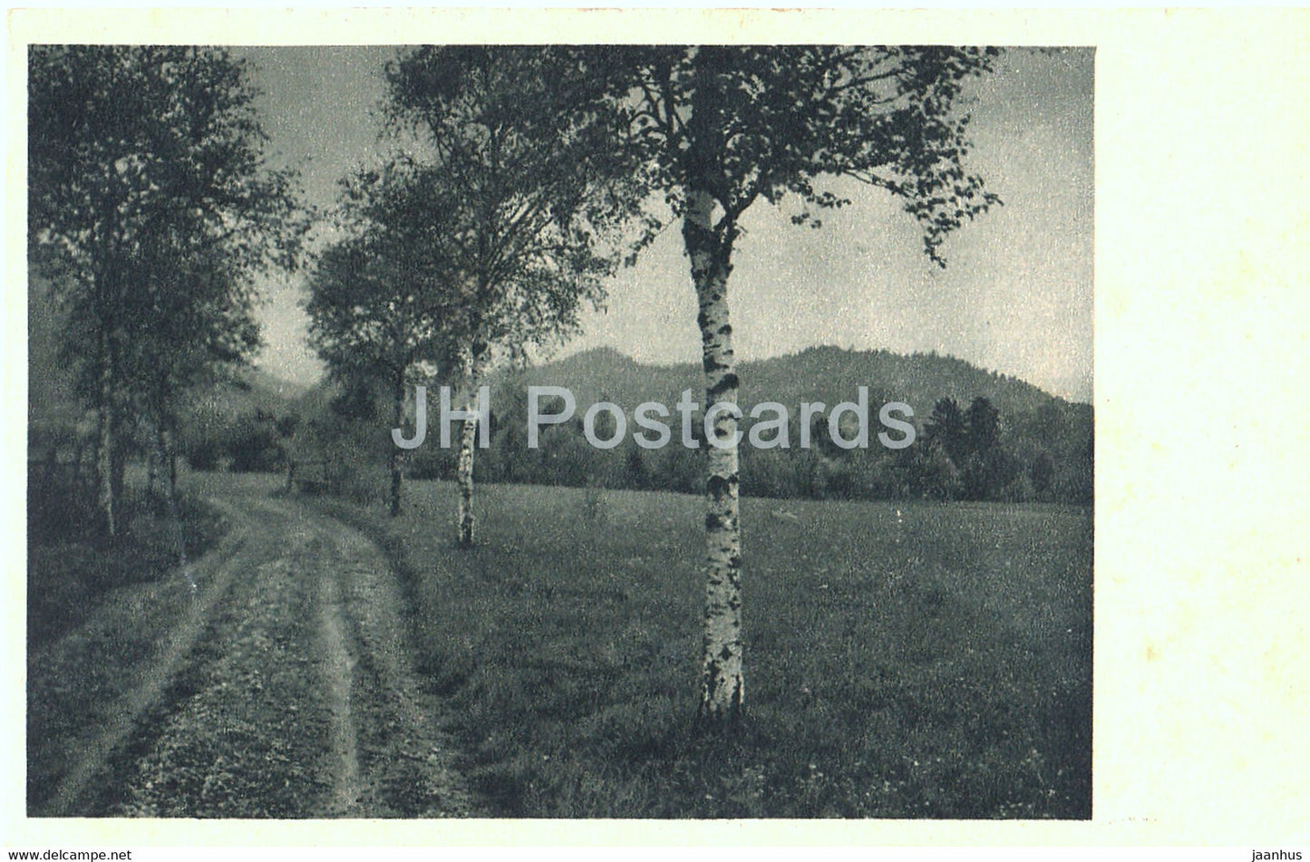 G. Leinenweber - Birken am Weg - Kramakunst - old postcard - Germany - unused - JH Postcards