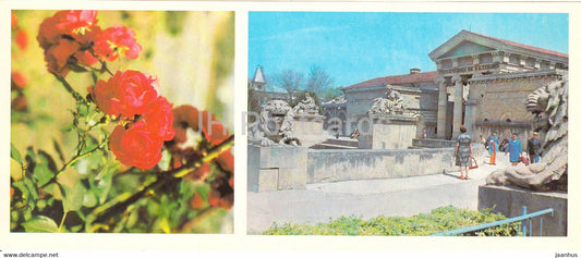 Essentuki - red roses - flowers - Semashko Mud establishment - 1983 - Russia USSR - unused - JH Postcards