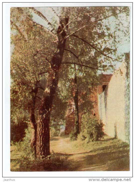 Massive walls of the island Castle - Trakai - 1966 - Lithuania USSR - unused - JH Postcards