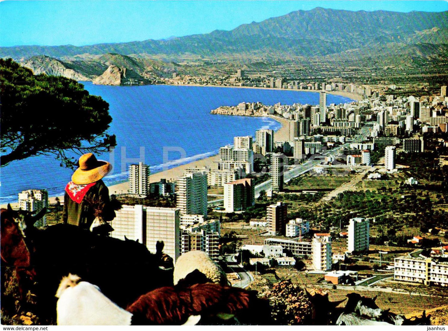 Benidorm - Vista Panoramica - 155 - Spain - unused - JH Postcards