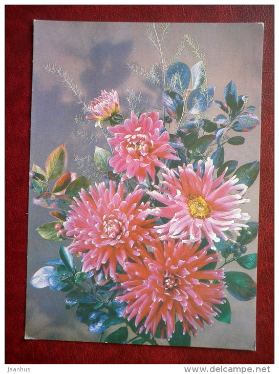 Greeting Card - Chrysanthemum - flowers - 1987 - Russia USSR - used - JH Postcards