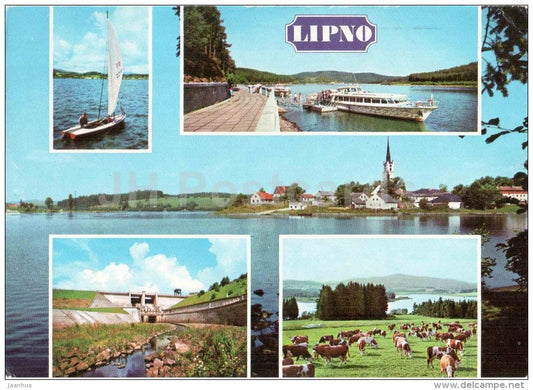 Lipno - dam - Frymburk - sailing boat - passenger boat - cows  - Czechoslovakia - Czech - used 1983 - JH Postcards