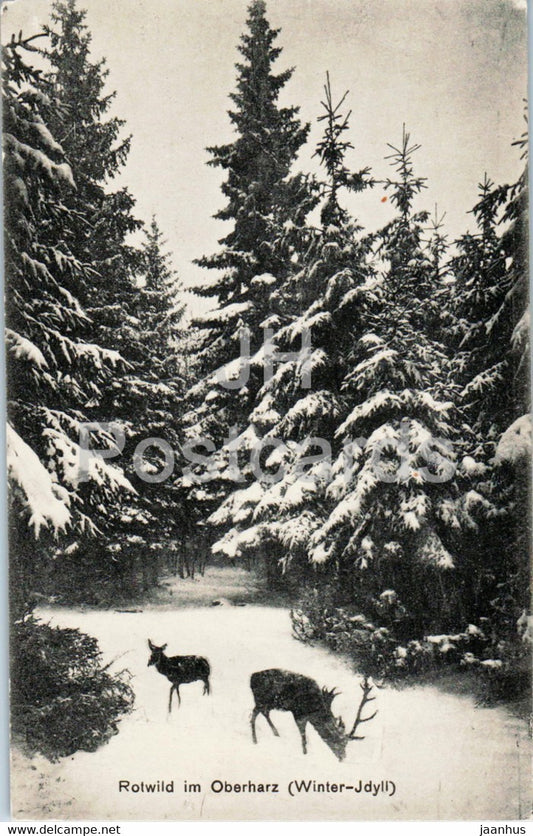 Rotwild im Oberharz - Winter Idyll - animals - deer - old postcard - Germany - unused - JH Postcards