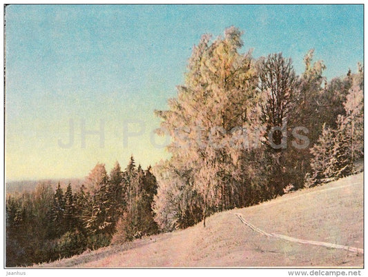 upland of Vidzeme in Winter - old postcard - Latvia USSR - unused - JH Postcards