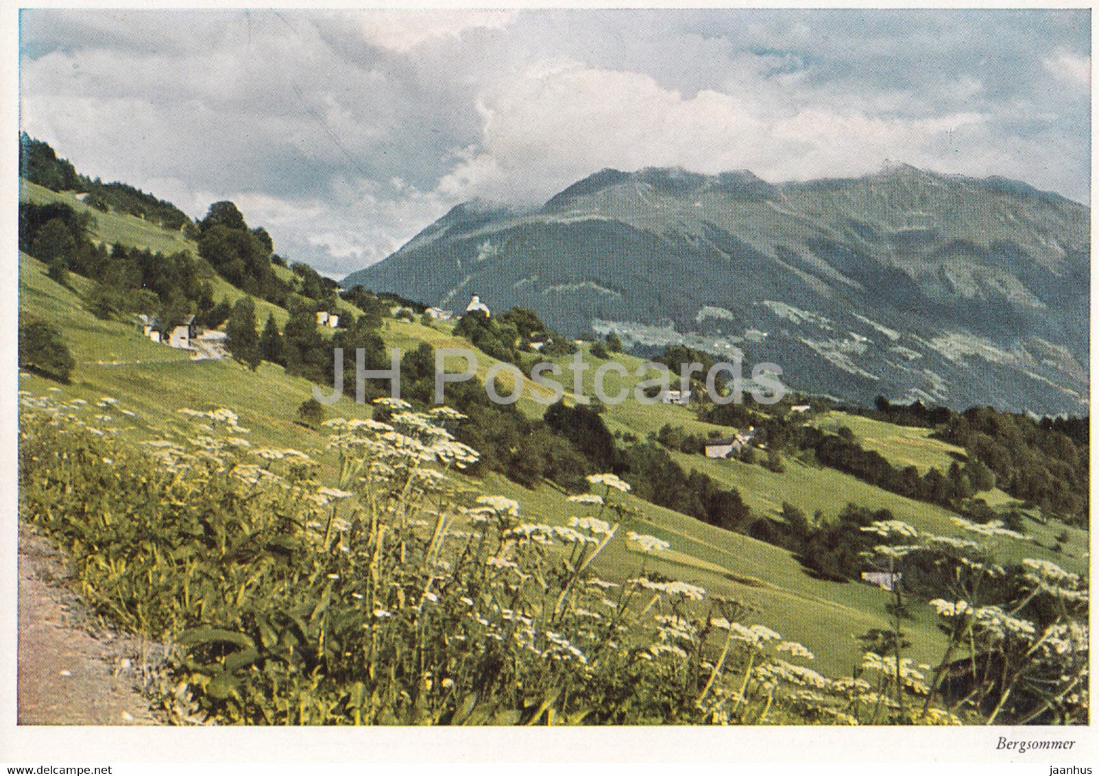 Bergsommer - Bartholomaberg Montafon - 1702 - Austria - unused - JH Postcards