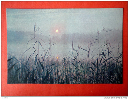 Summer Morning - lake - Latvian Views - 1987 - Latvia USSR - unused - JH Postcards