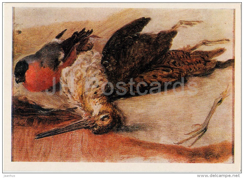 painting by V. Tropinin - Great snipe and Bullfinch - Still Life - Russian art - Russia USSR - 1981 - unused - JH Postcards