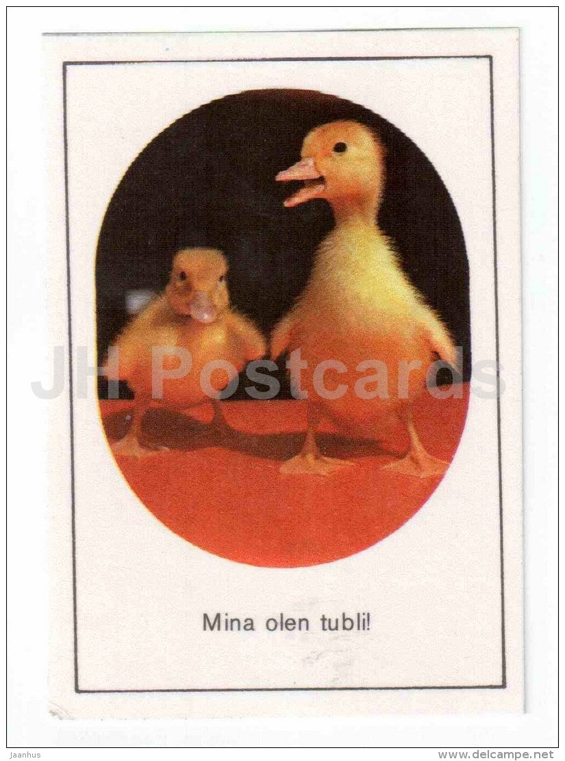 mini postcard - duckling - 1990 - Estonia USSR - unused - JH Postcards