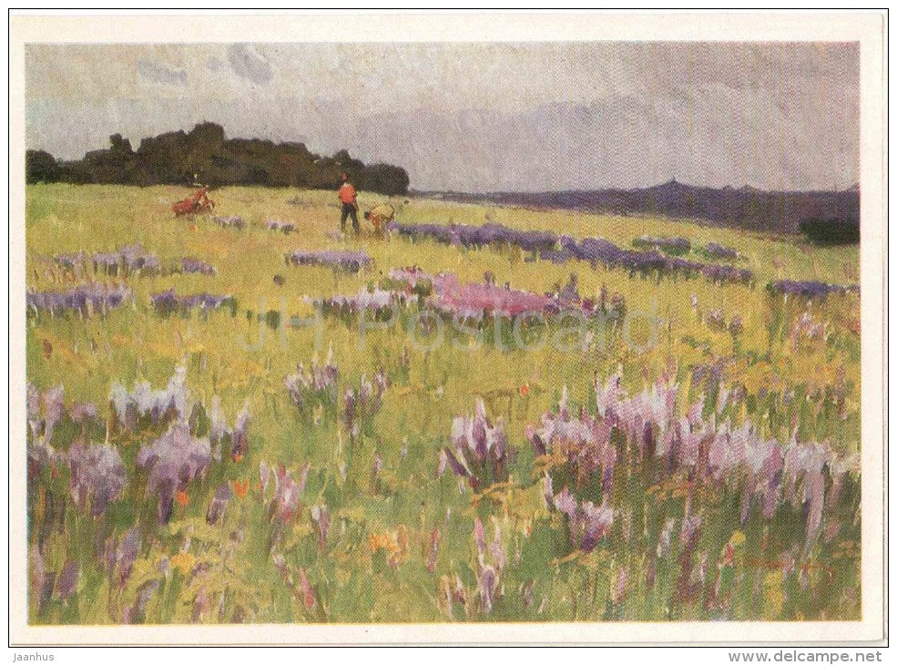 painting by V. Koshevoy - Steppe flowers , 1967 - russian art - unused - JH Postcards