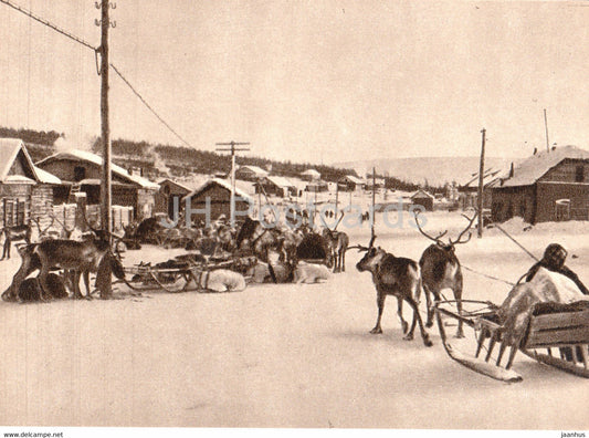 Yakutia - Sakha Republic - Olenek village - reindeer - 1963 - Russia USSR - unused - JH Postcards