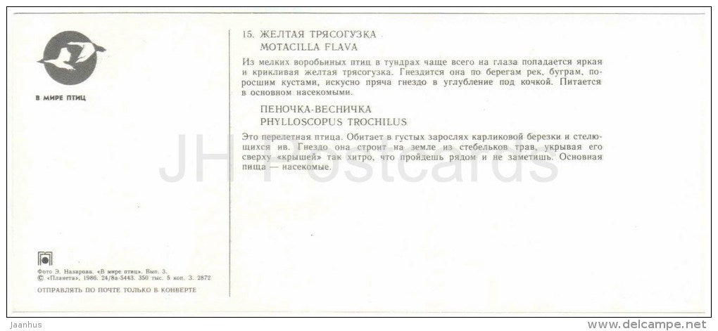 Western yellow wagtail , Motacilla flava - Willow warbler , Phylloscopus trochilus - birds - 1986 - Russia USSR - unused - JH Postcards