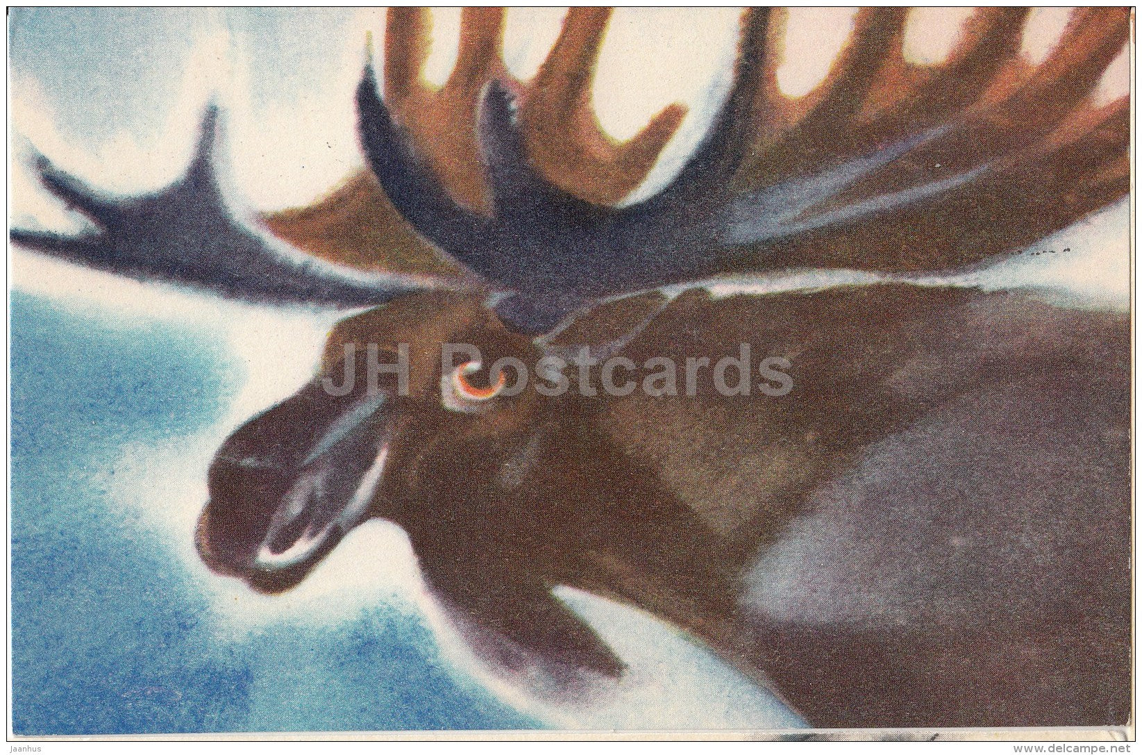 illustration by A. Saldre - Moose - 1971 - Estonia USSR - unused - JH Postcards