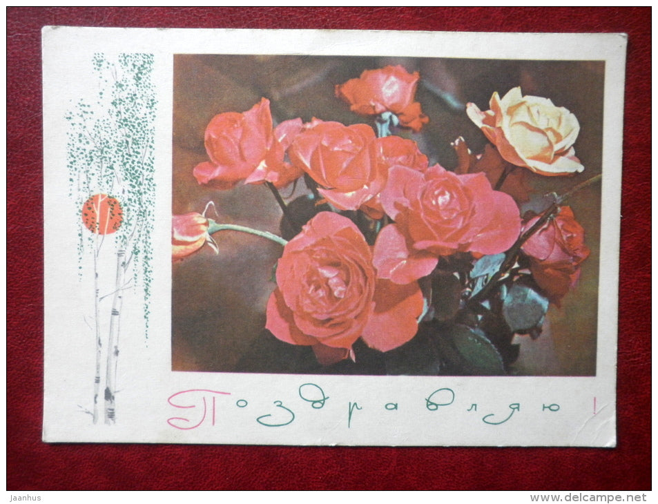 Greeting Card - roses - birch - flowers - 1969 - Russia USSR - used - JH Postcards