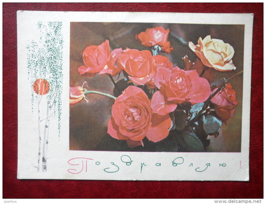 Greeting Card - roses - birch - flowers - 1969 - Russia USSR - used - JH Postcards