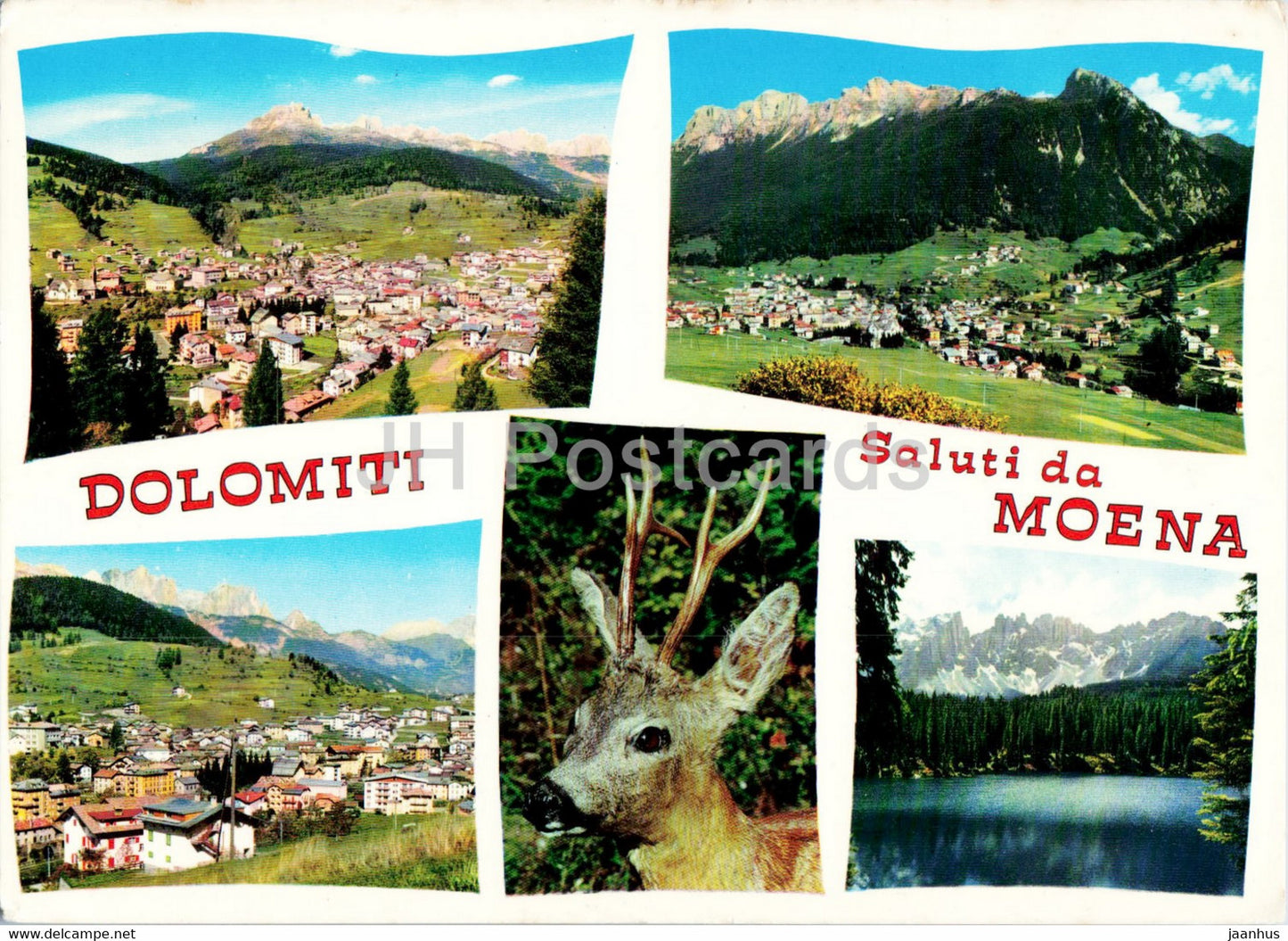 Saluti da Moena - Dolomiti - Lago di Carezza - col Latemar - animals - deer - 1969 - Italy - used - JH Postcards