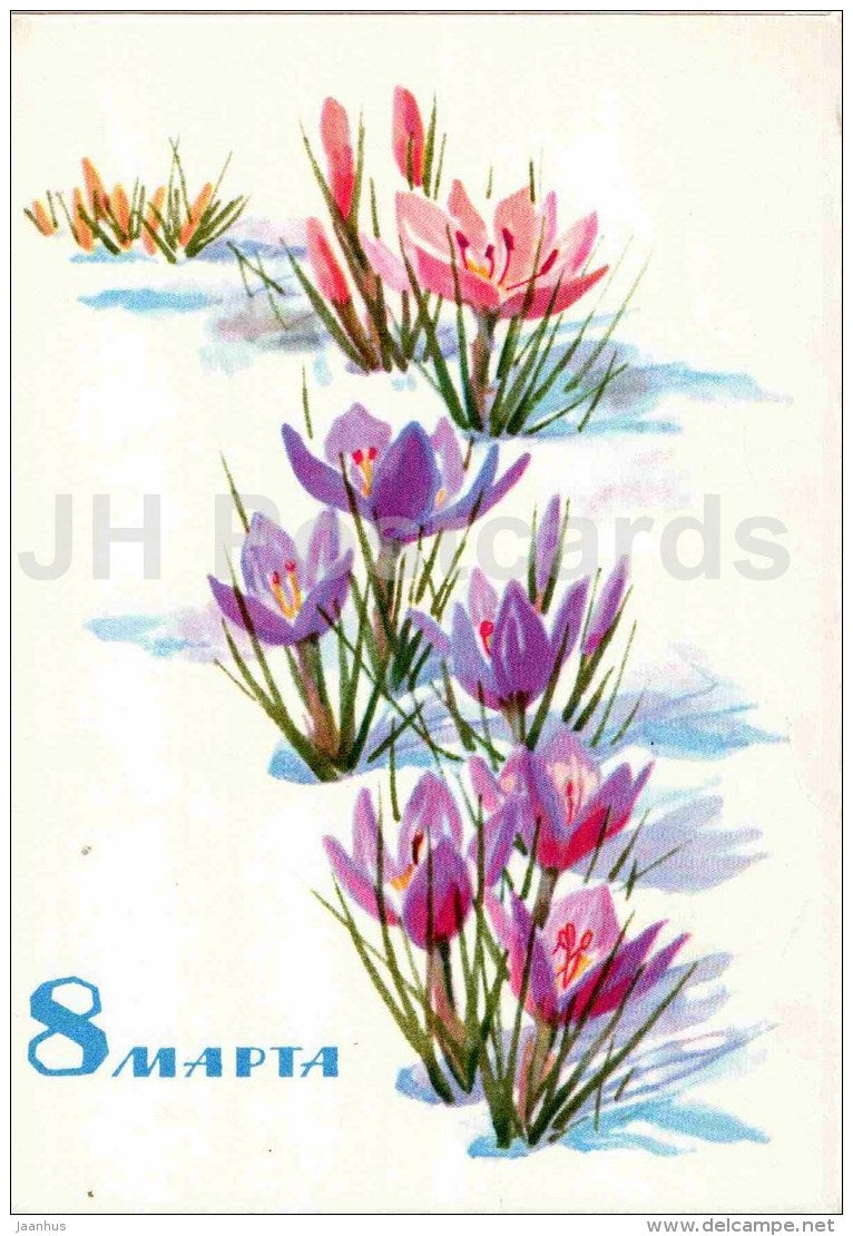 8 March International Women's Day greeting card by N. Kirpicheva - crocus - flowers - 1966 - Russia USSR - unused - JH Postcards