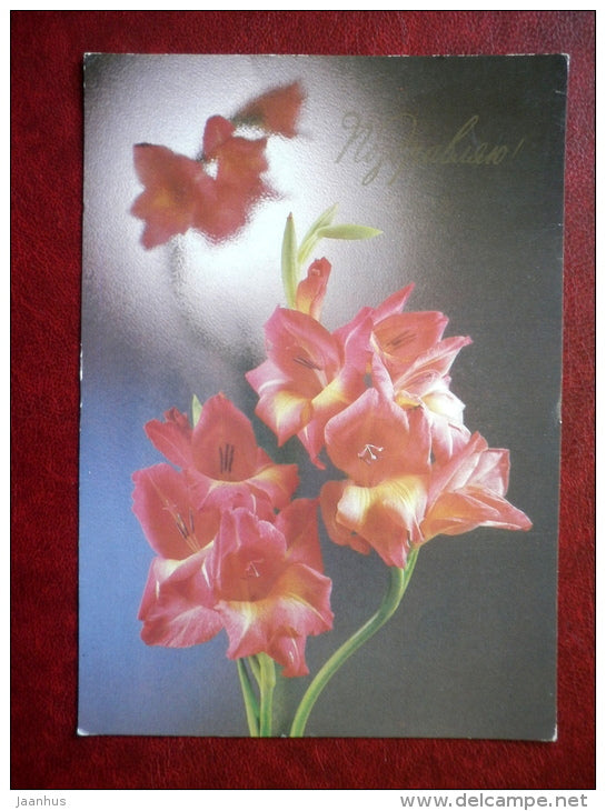 Greeting Card - red Gladiolus - flowers - 1987 - Russia USSR - used - JH Postcards