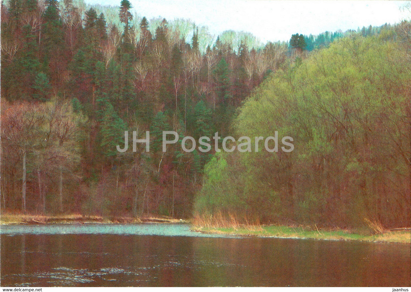 Primorsky Krai - Armu river - postal stationery - 1988 - Russia USSR - unused - JH Postcards