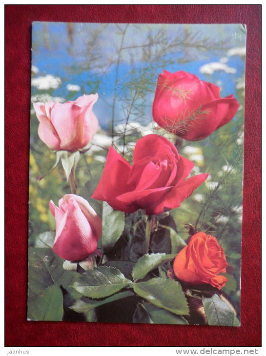 Greeting Card - red roses - flowers - 1987 - Russia USSR - used - JH Postcards