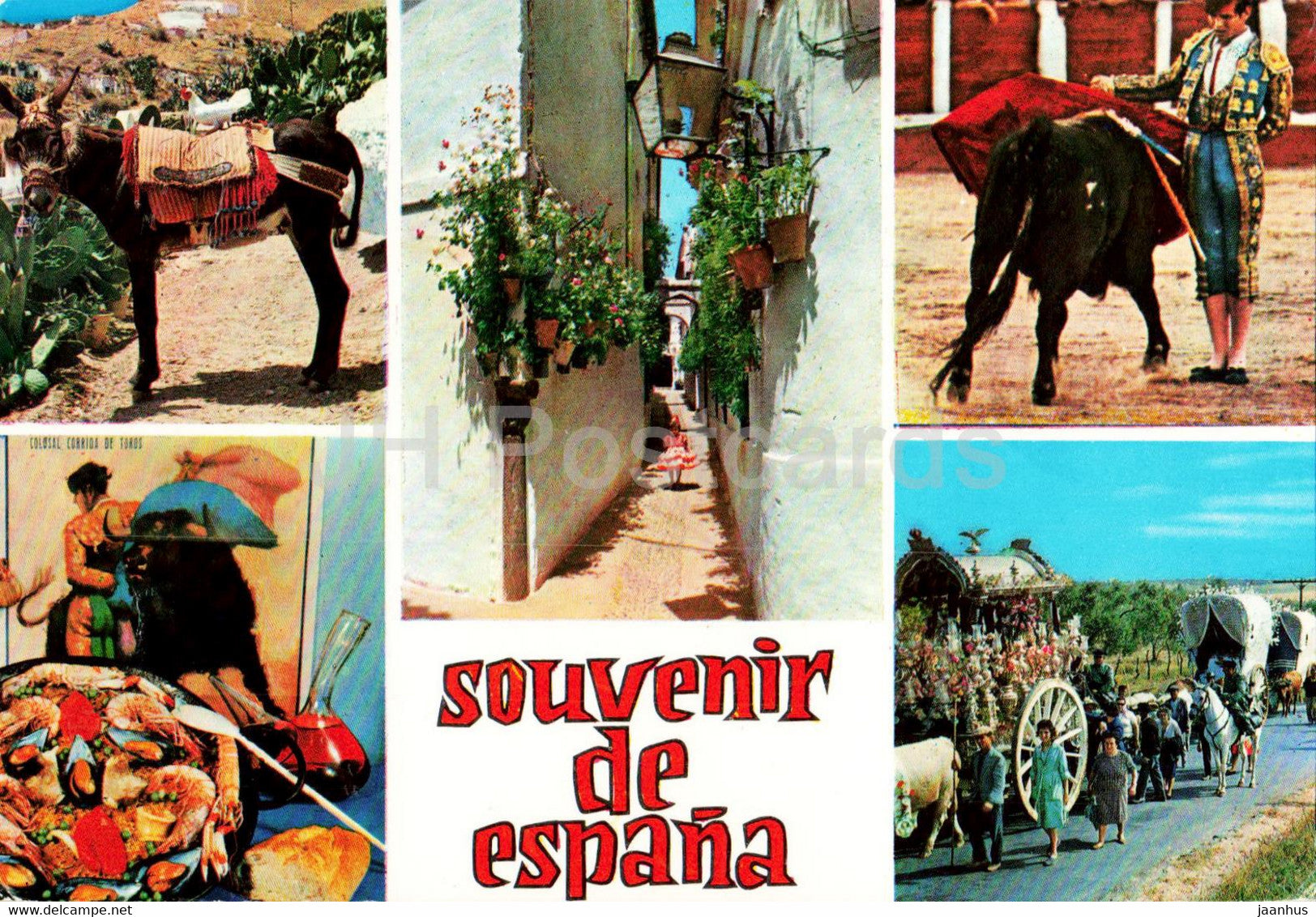 Souvenir de Espana - animals - donkey - bull - multiview - 817 - Spain - used - JH Postcards