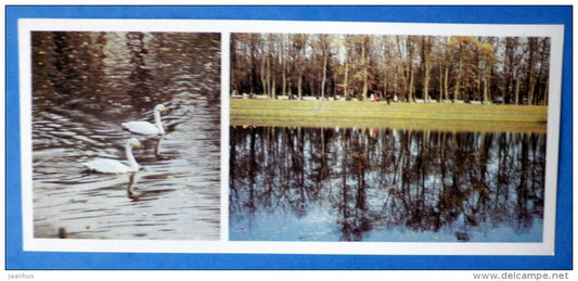 Carp pond - swan - Summer Garden - Leningrad - St. Petersburg - 1985 - Russia USSR - unused - JH Postcards