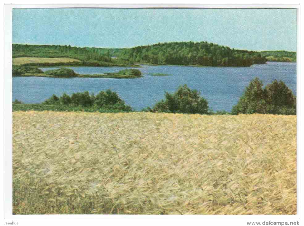 Lake Kala - Latvian views - Latvia USSR - unused - JH Postcards