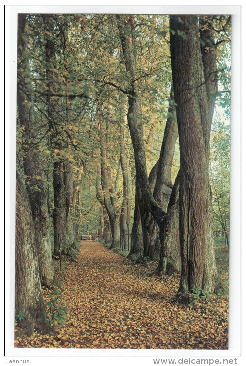 Anne Kern Walk - Mikhailovskoye - The Pushkin memorial zone - 1974 - Russia USSR - unused - JH Postcards