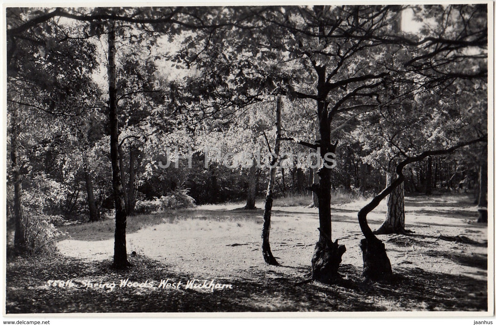 London - West Wickham - Spring Woods - 1961 - United Kingdom - England - used - JH Postcards