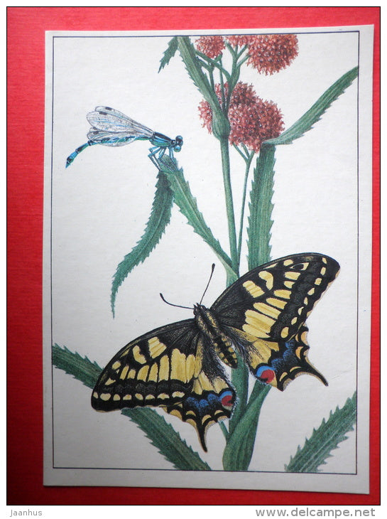 Old World Swallowtail - Goblet-marked Damselfly , Erythromma lindenii - insects - 1987 - Russia USSR - unused - JH Postcards