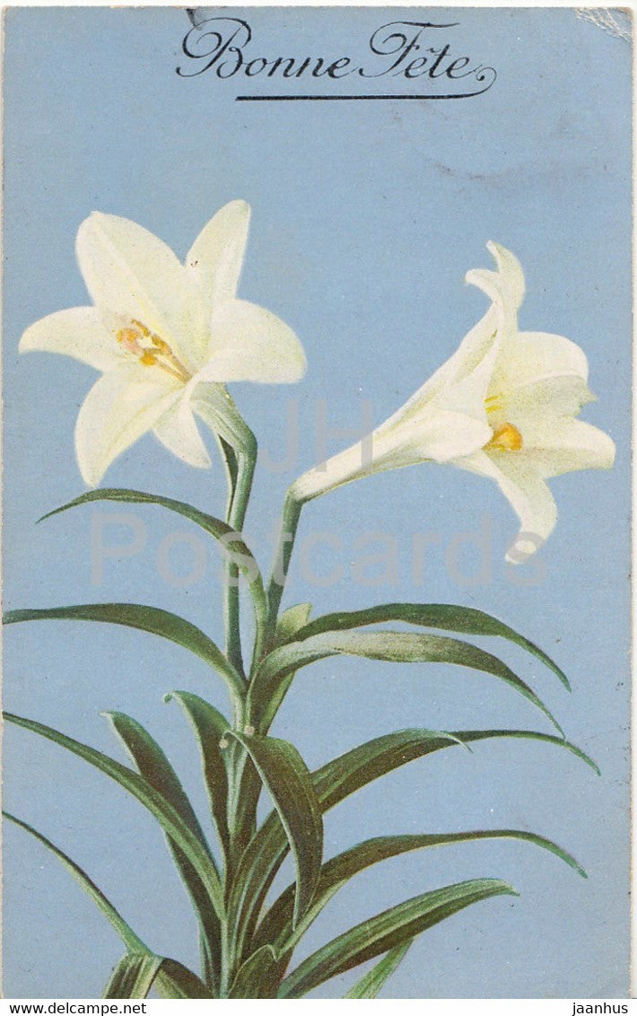 Birthday Greeting Card - Bonne Fete - lily - flowers - NZG Serie 240 - old postcard - France - used - JH Postcards