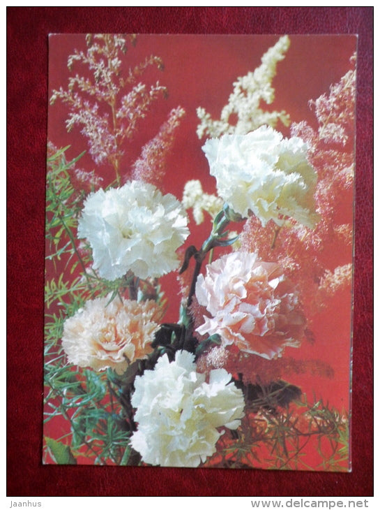 Greeting Card - white carnation - flowers - 1986 - Russia USSR - unused - JH Postcards