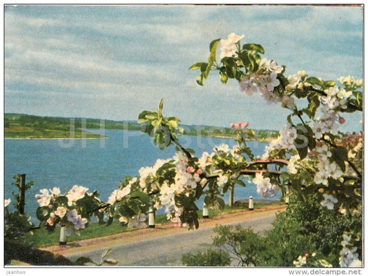 river Daugava near Ogre - old postcard - Latvia USSR - unused - JH Postcards