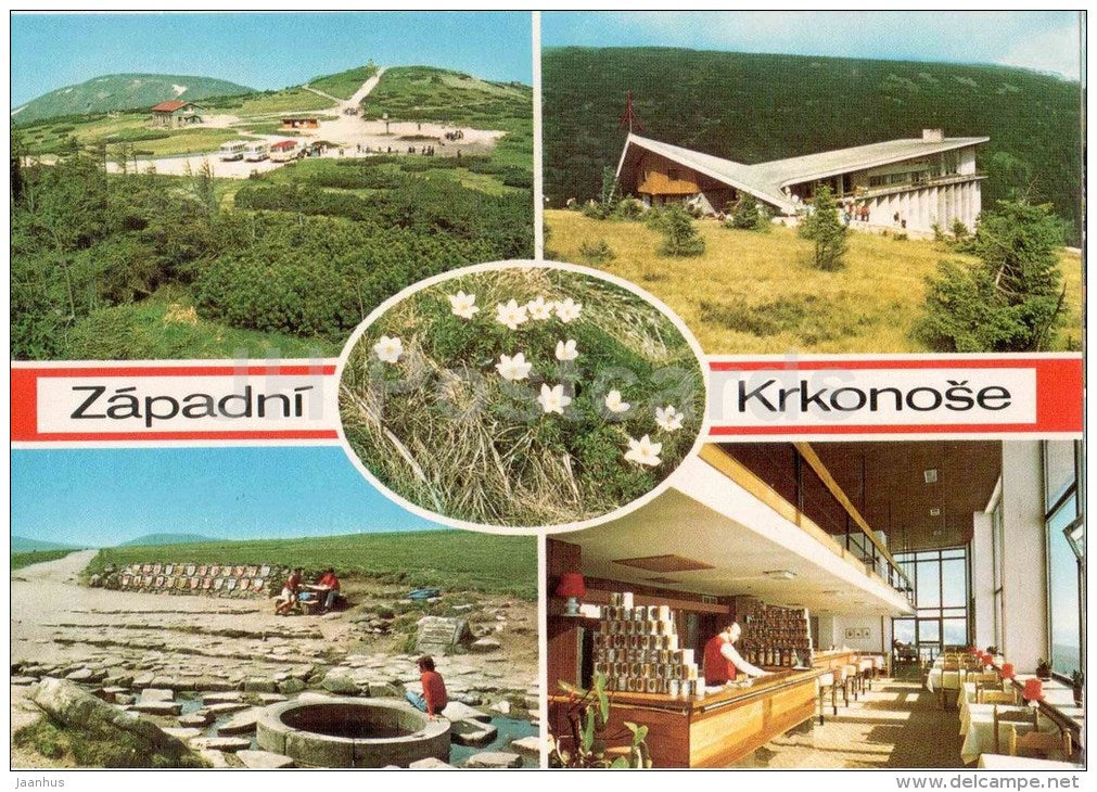 Golden Hill - source Labe - Zapadni Krkonose - Labska - Czechoslovakia - Czech - used 1977 - JH Postcards