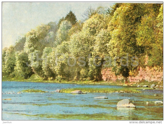 Blossoming Bird-Cherry Trees on the banks of the river Ogre - old postcard - Latvia USSR - unused - JH Postcards