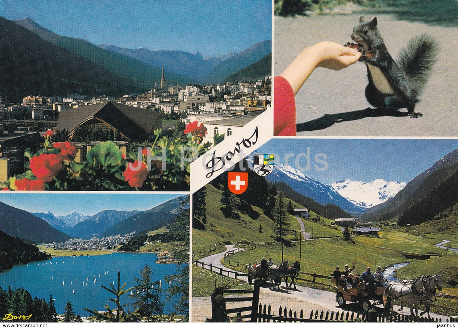 Davos 1560 m - gegen Tinzenhorn - Davosersee - Dischma - squirrel - 1005 - 1986 - Switzerland - used - JH Postcards