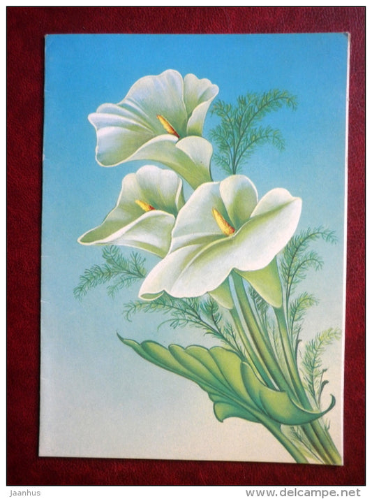 Greeting Card - by N. Korobova - calla - flowers - 1986 - Russia USSR - used - JH Postcards