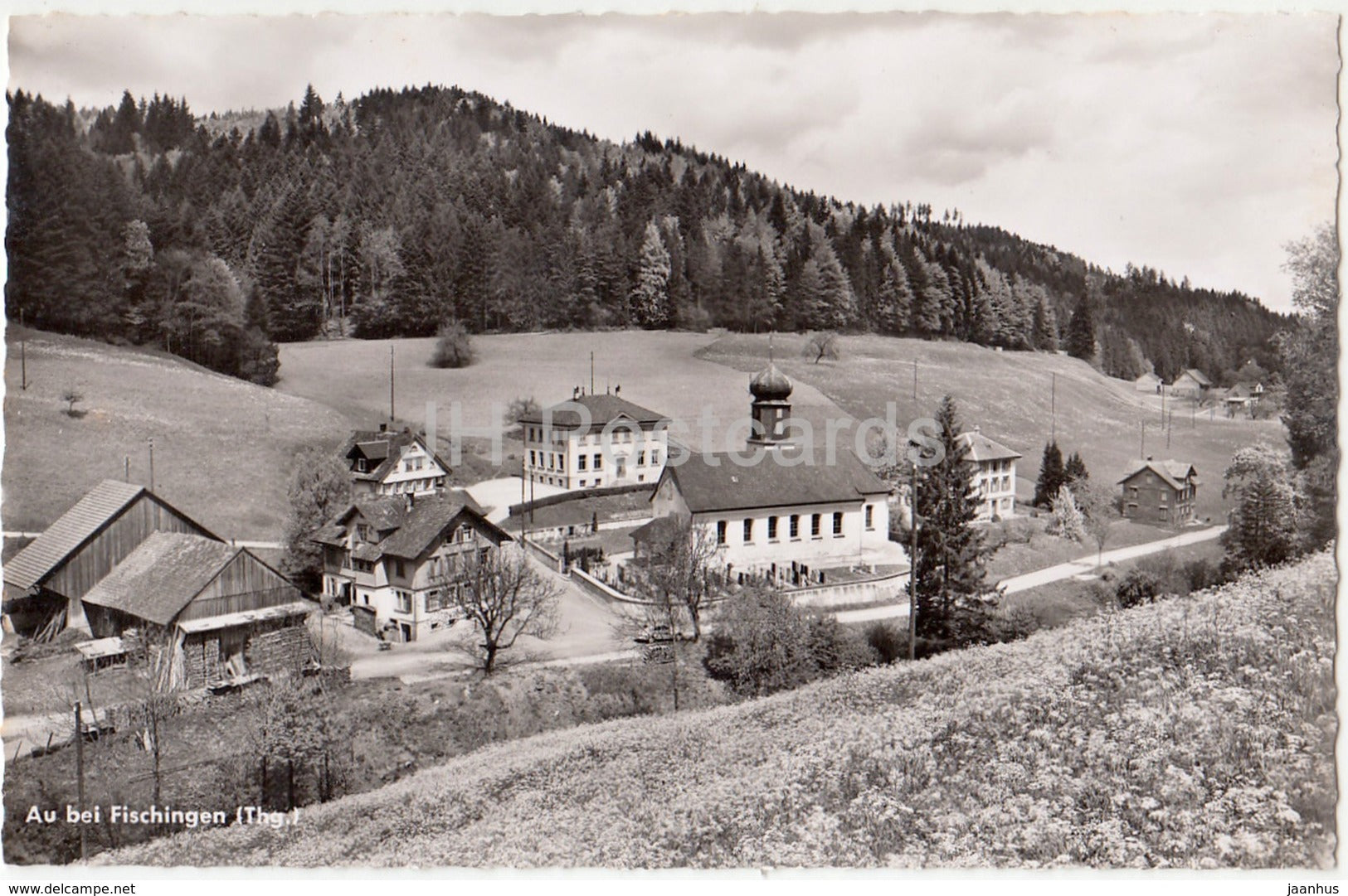 Au bei Fischingen - 1 - 1208 - Switzerland - unused - JH Postcards