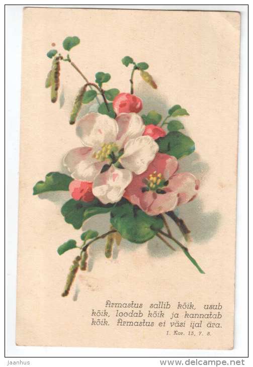 Greeting Card - flowers - WO 906 - old postcard - Estonia - unused - JH Postcards