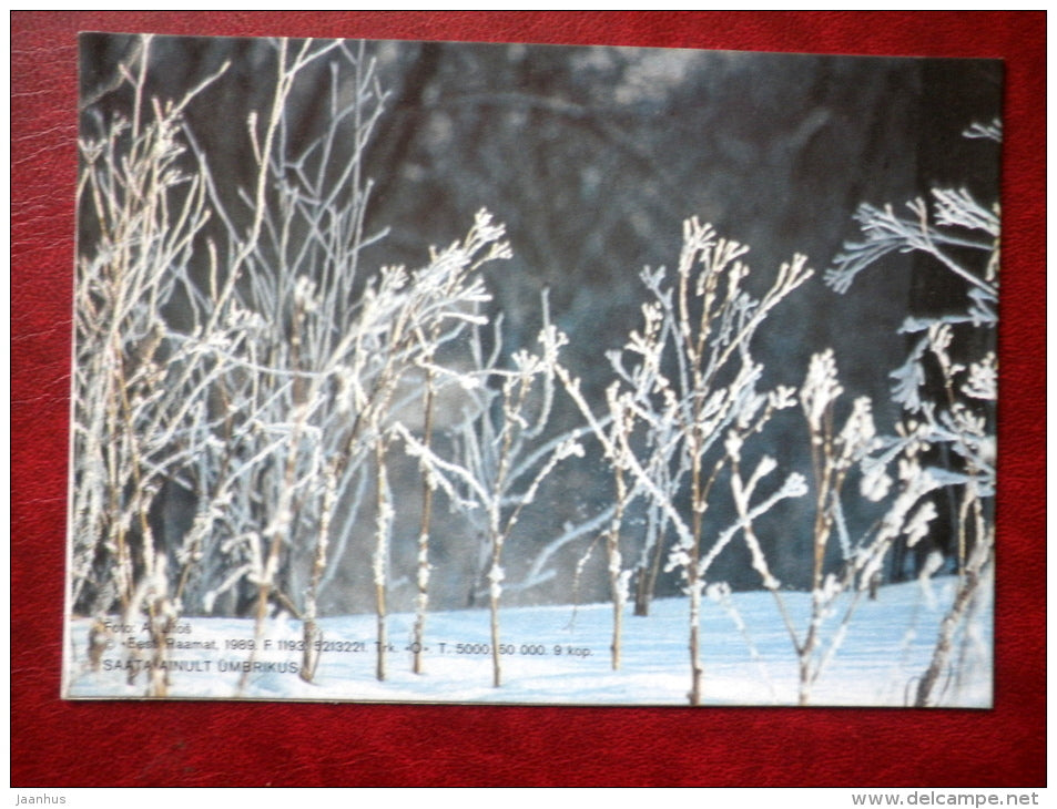 New Year Greeting card - plants in winter - 1989 - Estonia USSR - used - JH Postcards