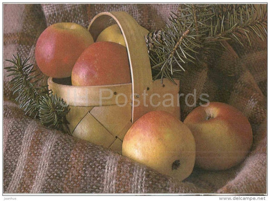 New Year Greeting card - apples - wooden basket - 1989 - Estonia USSR - unsed - JH Postcards