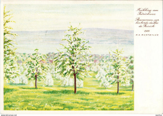 Fruhling am Zurichsee - 1934 - H A Muntwyler - illustration - 1935 - old postcard - Switzerland - used - JH Postcards