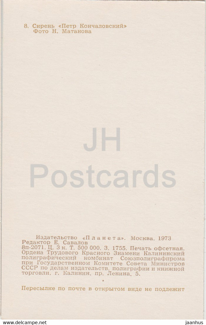 Pjotr ​​Kontschalowski – Flieder – Blumen – 1973 – Russland UdSSR – unbenutzt