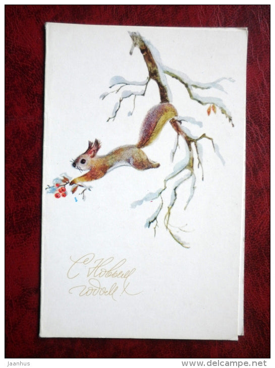 New Year Greeting Card - squirrel - 1983- Russia - USSR - unused - JH Postcards