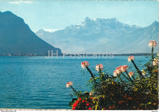 Montreux - Les Dents du Midi depuis le Quai - 838 - Switzerland - unused - JH Postcards