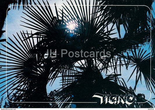 Ticino - palm trees - Switzerland - used - JH Postcards