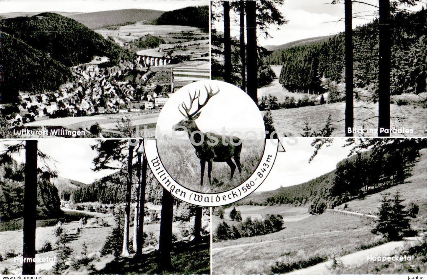 Willingen - Hermeketal - Happecketal - deer - animal - old postcard - 1959 - Germany - used - JH Postcards