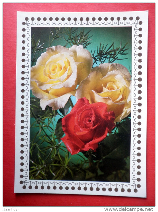 white and red roses - flowers - Czechoslovakia - unused - JH Postcards