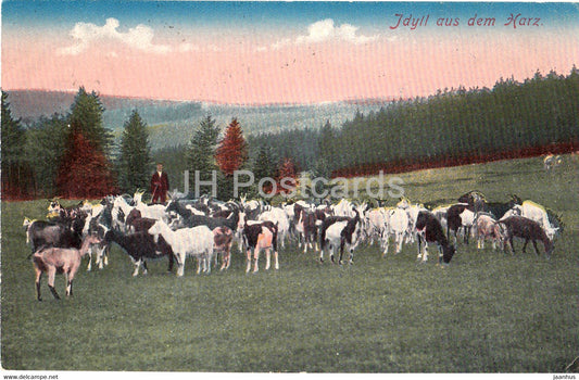 Idyll aus dem Harz - old postcard - 1921 - Germany - used - JH Postcards