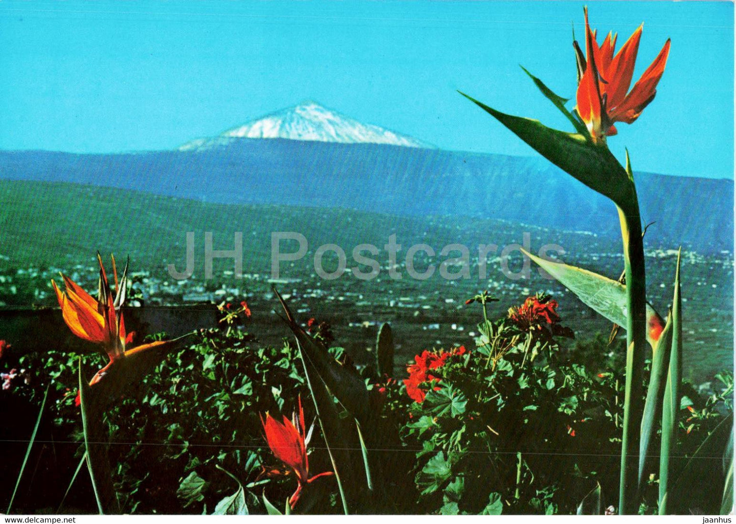 Puerto de la Cruz - Paisaje del Valle de la Orotava y Teide - Tenerife - 388 - Spain - unused - JH Postcards