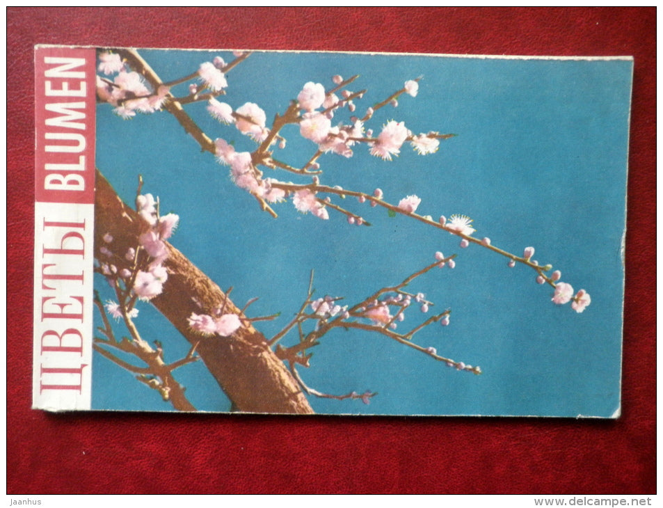 Flowers - set of 12 postcards - printed in People´s Republic of China - 1962 - China  - unused - JH Postcards